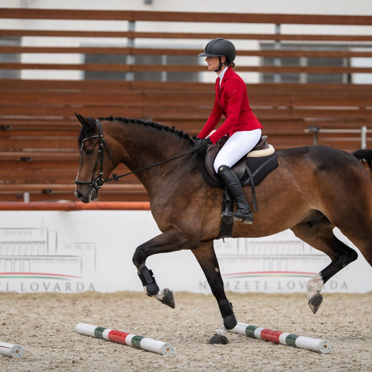 Cavalliera - Riding Show Jacket PRIMETIME SECOND SKIN
