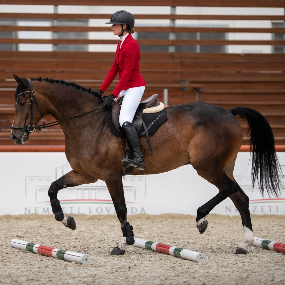 Cavalliera - Riding Show Jacket PRIMETIME SECOND SKIN